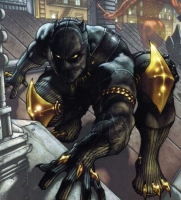 Black Panther / La Panthère Noire